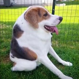 Meet your Posher, Jack